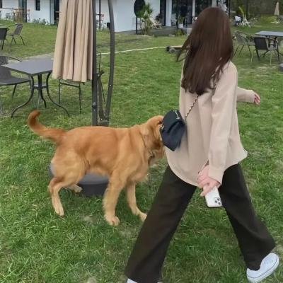 皮特·戴维森:我仍在纽约